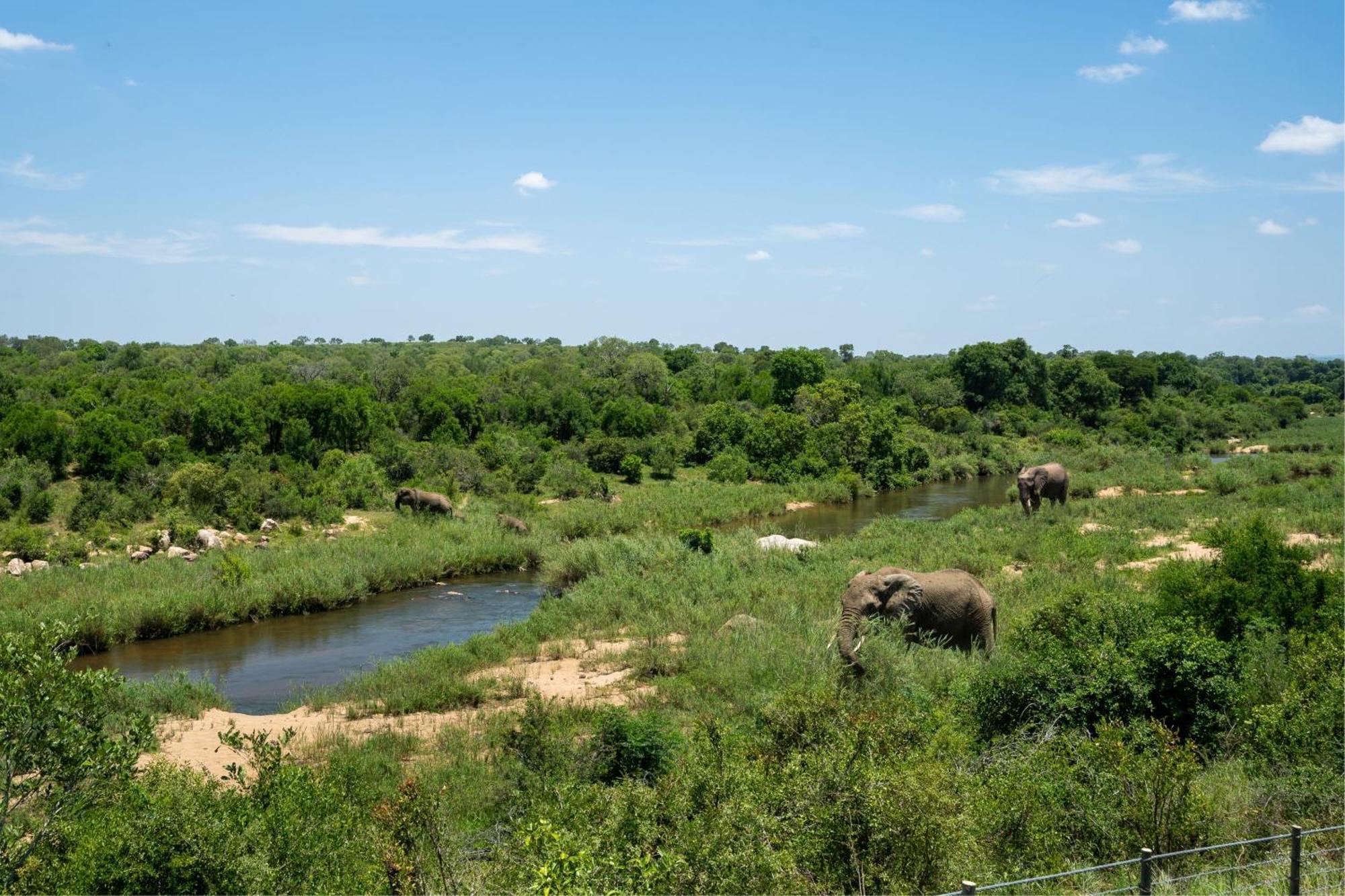 Leopard Sands Kruger Park Skukuza Bagian luar foto